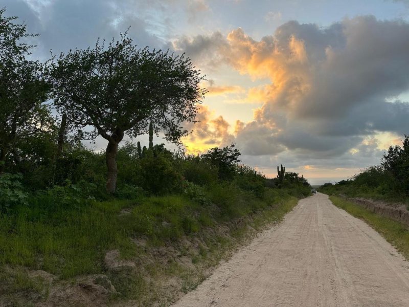 Plutarco Elías Calles, Todos Santos-General, La Paz