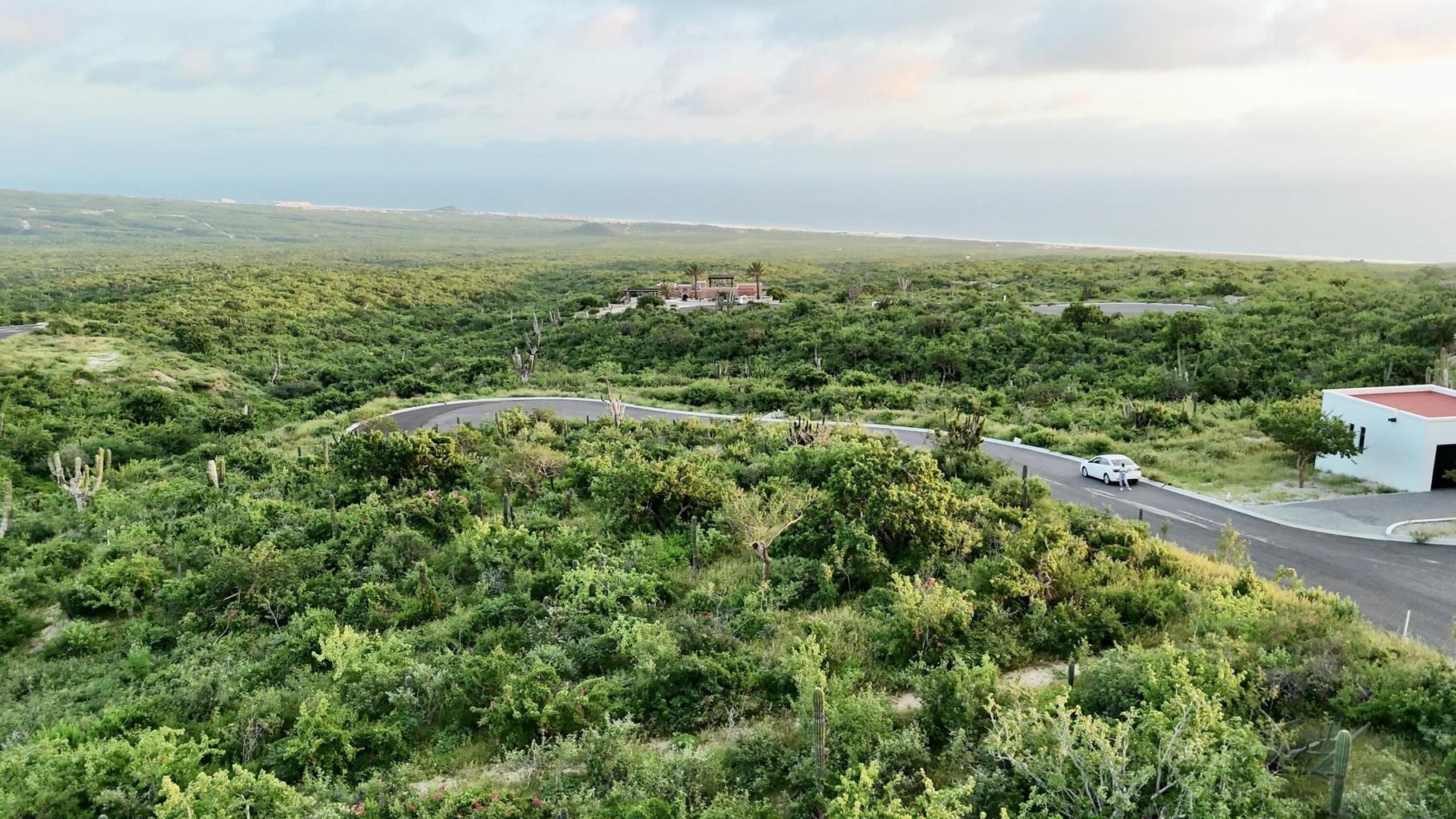 Monte Cristi, Rolling Hills, Pacific, photo 3