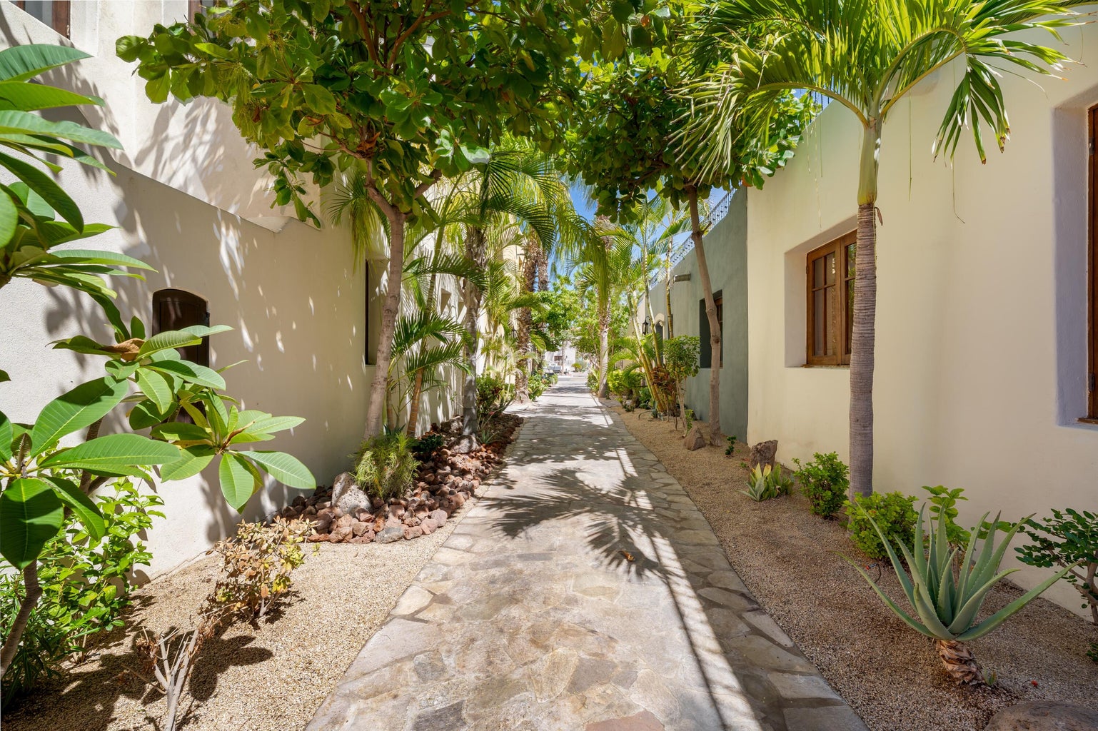 2-Bedroom House in Founders, Loreto, photo 5