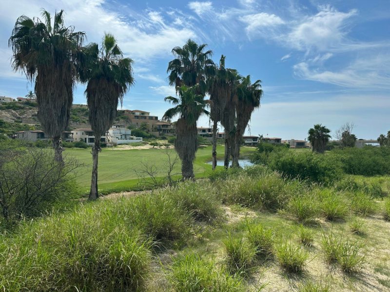 Cañada 2, La Canada II, San Jose del Cabo