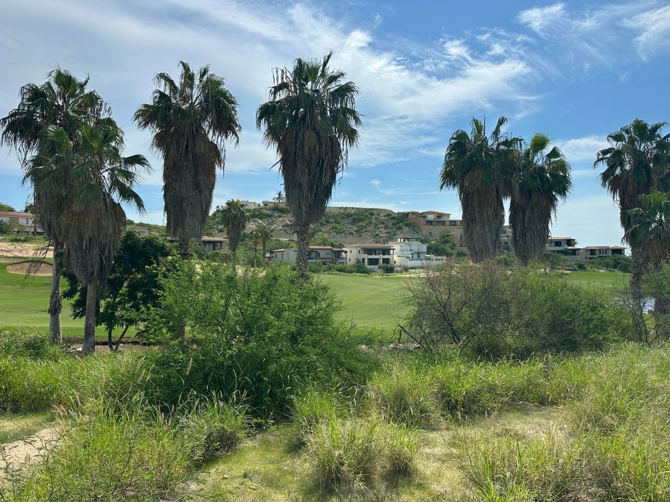 Cañada 2, La Canada II, San Jose del Cabo, photo 2
