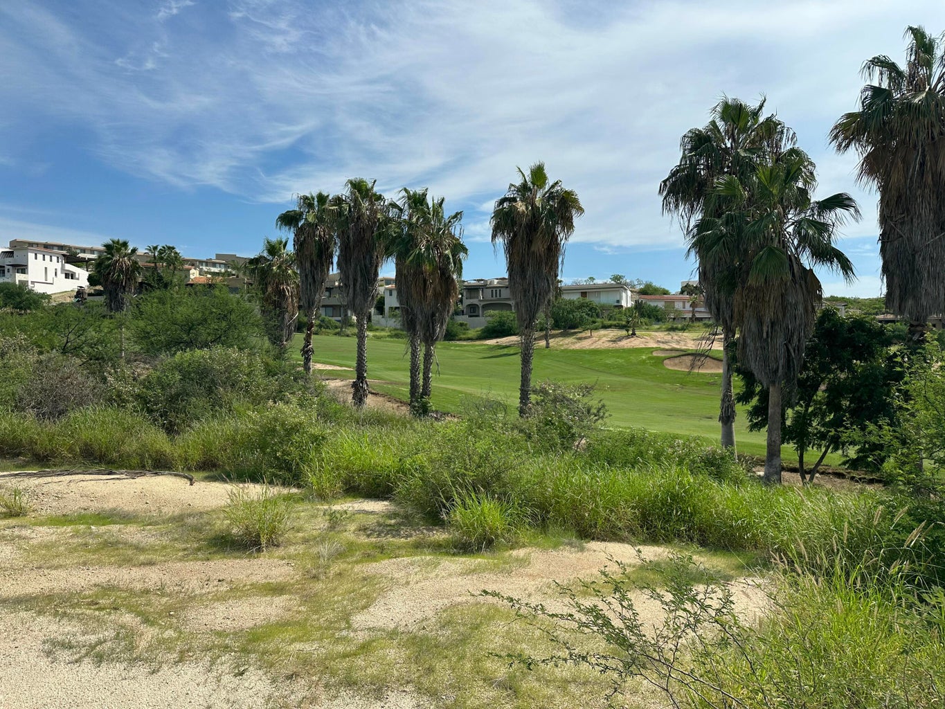 Cañada 2, La Canada II, San Jose del Cabo, photo 3