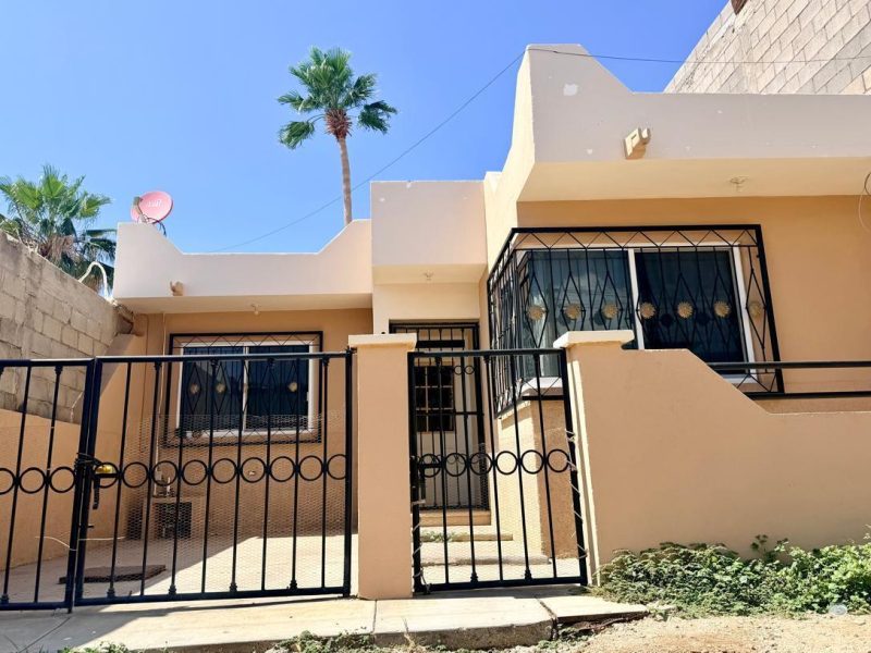 Dalia, Jacarandas, Cabo San Lucas
