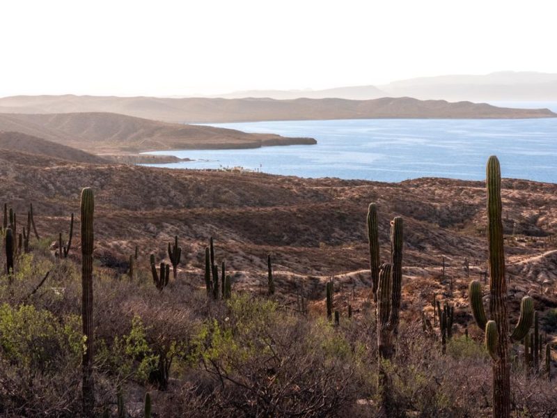 PUERTO MEXIA MADRE PERLA, East Cape