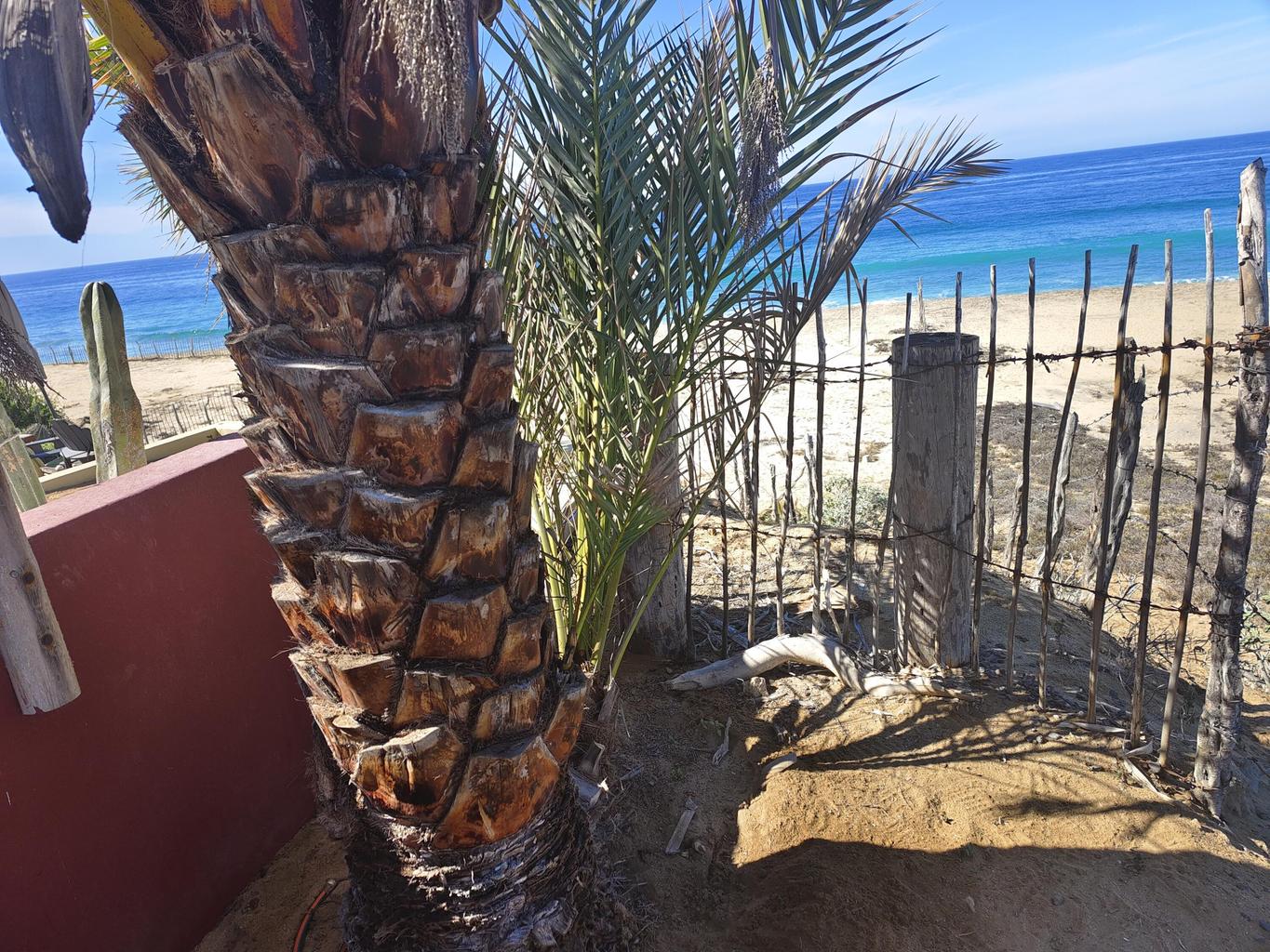 Lot in Rancho Nuevo, Pacific, photo 2