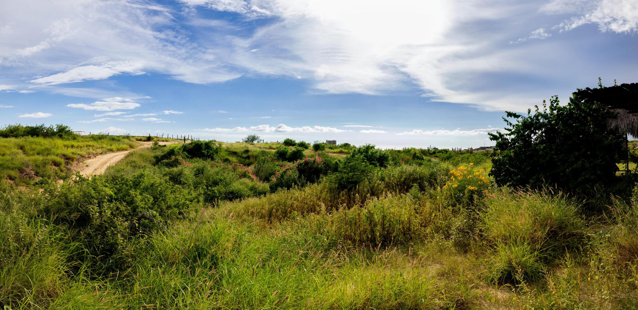 Lot in Ahorcadita, Pacific, photo 4