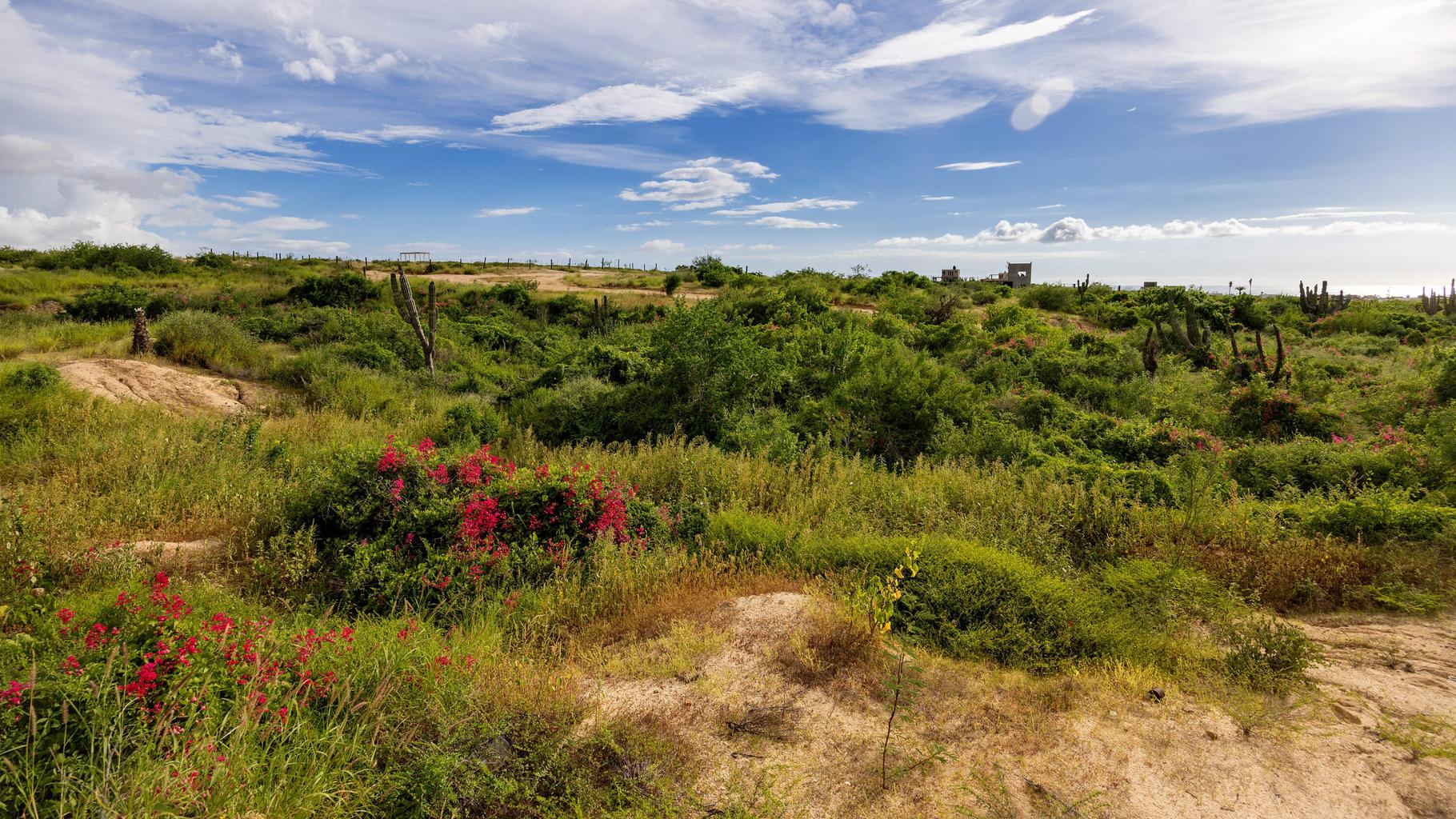 Lot in Ahorcadita, Pacific, photo 5