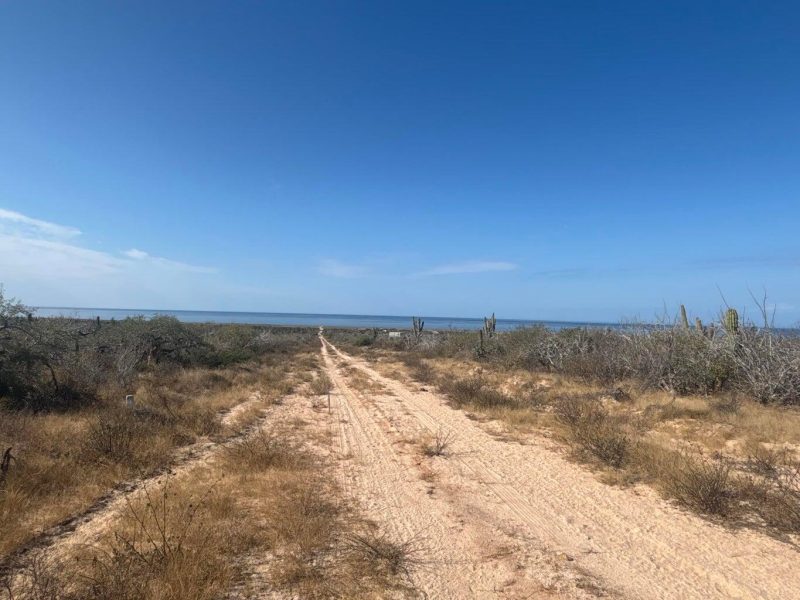 Lot in Agua Blanca, Pacific
