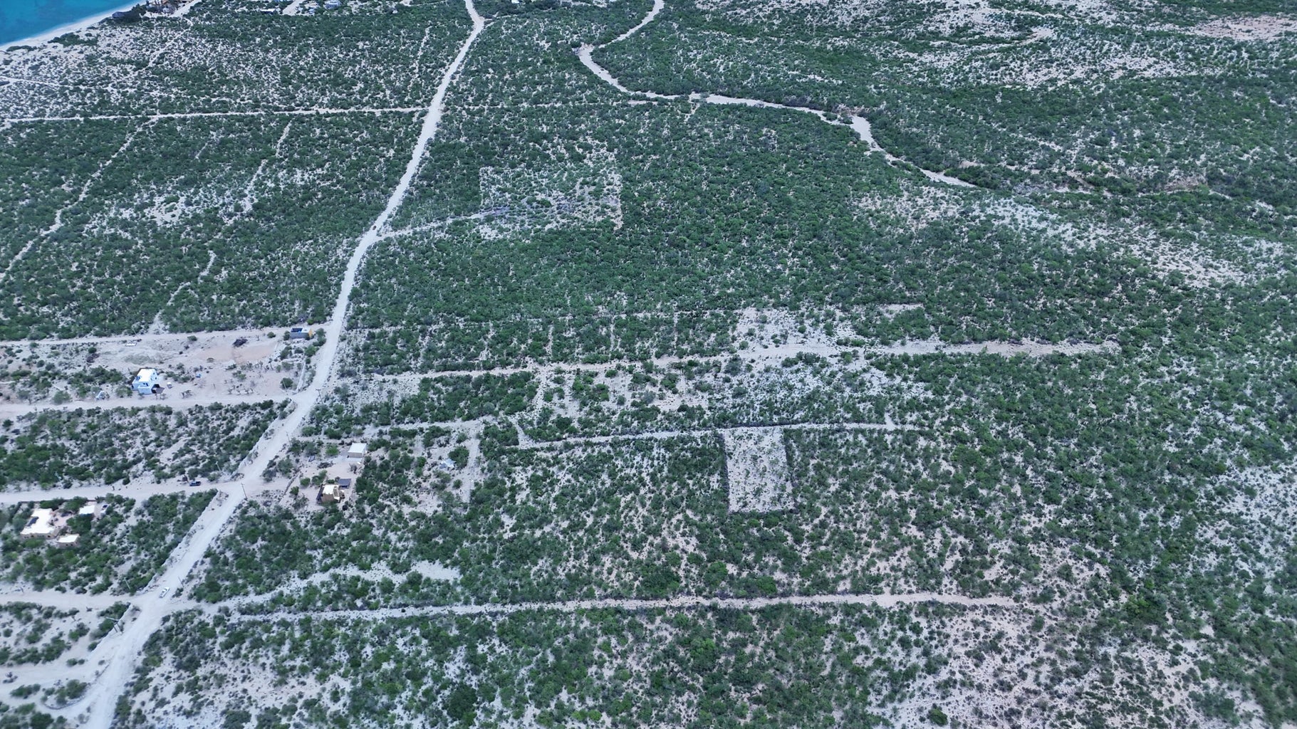 Los algodones, el cardonal, Las Tinas, East Cape, photo 4