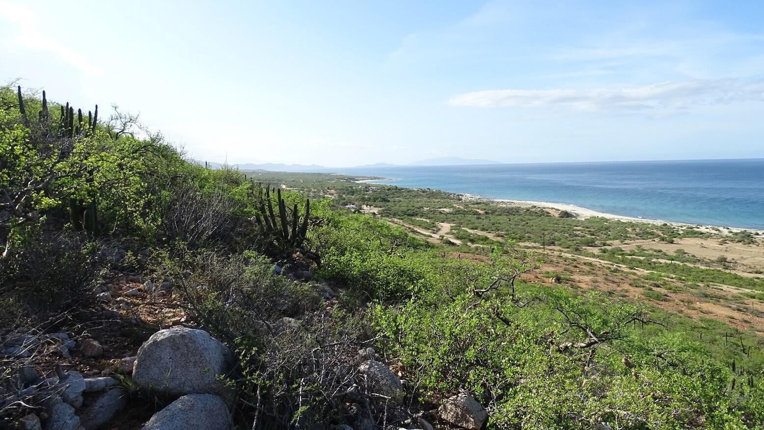 Lot in Punta Pescadero, East Cape, photo 3