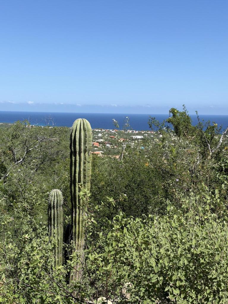 Lot in B.Vista/Barilles-Gen, East Cape, photo 2