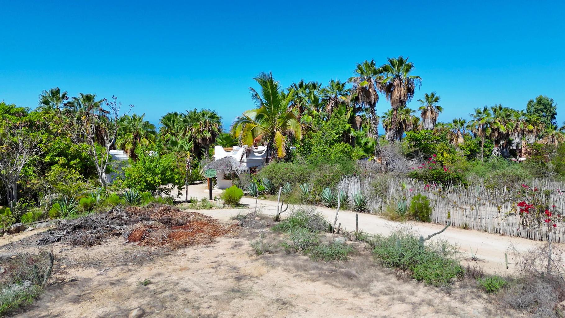 Lot in Las Tunas, Pacific, photo 5