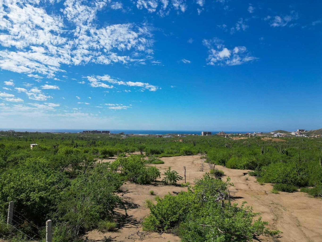 Lot in Cerritos, Pacific, photo 5