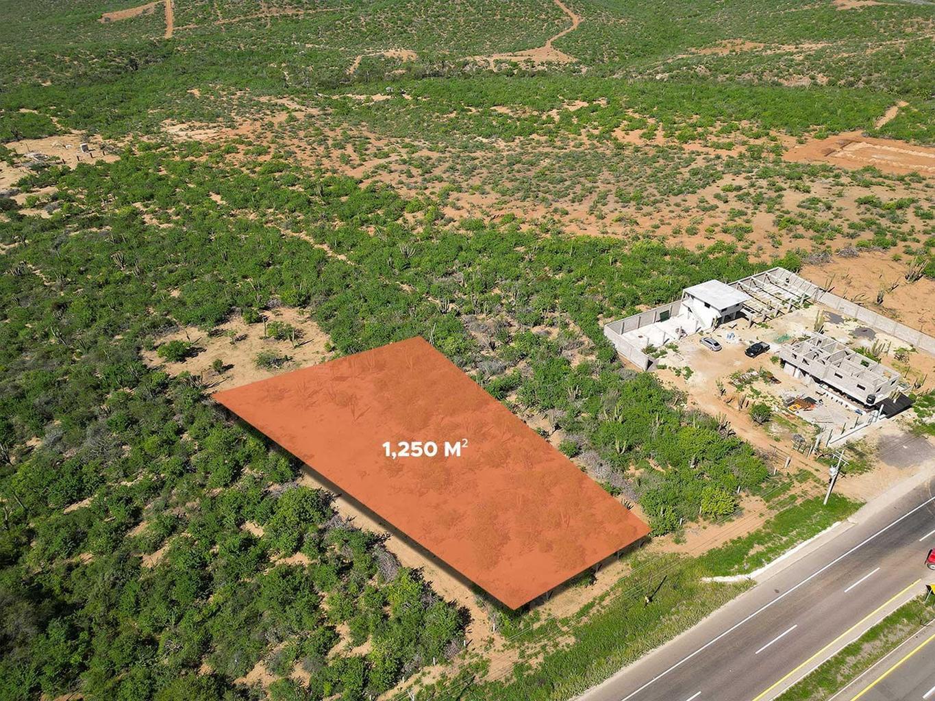 Lot in Cerritos, Pacific, photo 4